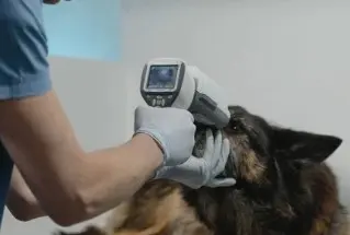 Medicina preventiva