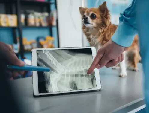Radiología